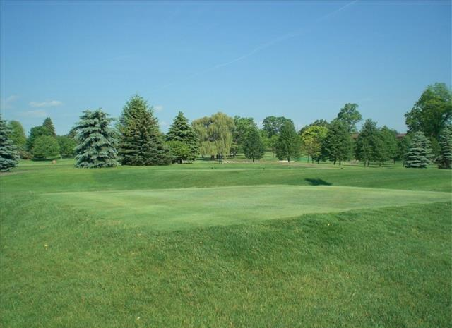 Homes for sale in Great Oaks Rochester MI 